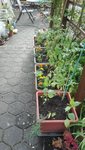 IMG_20200525_175329.jpg