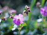 image006.jpg