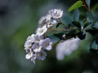 image008.webp