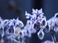 image003.webp