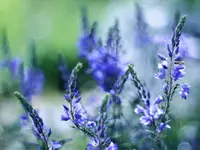 image004.webp