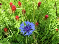 DSCF2842 (2).webp