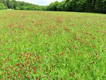 DSCF2844 (2).JPG