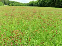 DSCF2844 (2).webp