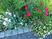 DSCF3580 (2).webp
