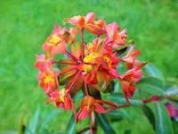 DSCF3550 (2).webp