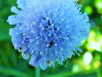 DSCF3573 (2).webp
