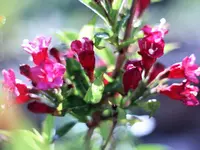 image002.webp