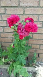 20200527_130614.webp