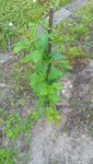 20200527_130949.jpg