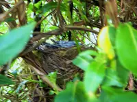 DSCF3582 (2).webp
