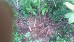 20200527_171458.jpg