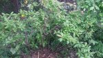 20200527_171509.jpg