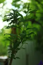 0M3A6922.webp