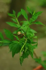 0M3A6923.webp