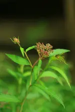 0M3A6927.webp