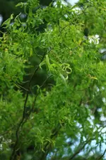 0M3A6928.webp
