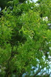 0M3A6928.JPG