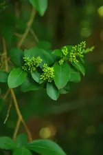 0M3A6929.webp