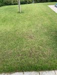 IMG_3412.jpg