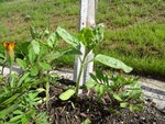 k-DSC03043.JPG