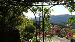 DSC02911.JPG