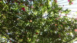 DSC02914.JPG