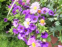DSCI0137 (2).webp