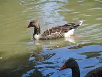 DSCI0481 (4).webp