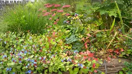 DSCN5723.webp