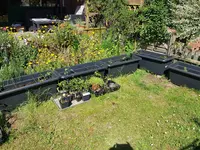 20200529_160930.webp 20200529_160930.webp