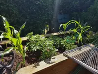 20200529_160941.webp 20200529_160941.webp