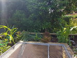 20200529_160947.jpg