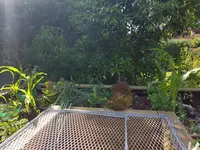 20200529_160947.webp 20200529_160947.webp