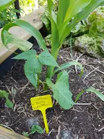 20200529_161045.webp 20200529_161045.webp