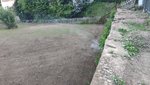 IMG_20200529_202456_copy_2016x1134.jpg