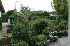 Juni0315 (2).webp