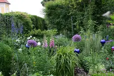Juni0715.webp