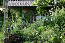 Juni2315 (2).webp