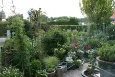 Juni0215 (2).webp
