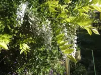 BILD1586.webp