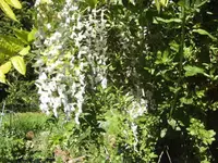 BILD1589.webp
