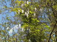 BILD1591.webp