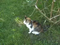 BILD1673.webp