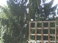 BILD1629.webp