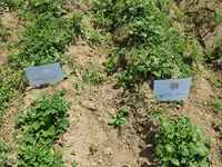 20200530_153759.webp 20200530_153759.webp