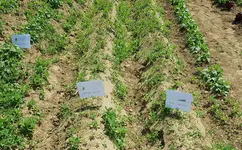 20200530_153939.webp 20200530_153939.webp