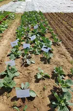 20200530_154408.webp 20200530_154408.webp