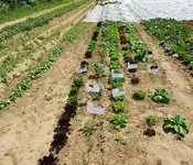 20200530_153739.webp 20200530_153739.webp