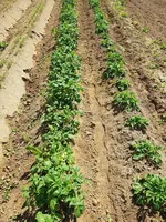 20200530_133758.webp 20200530_133758.webp